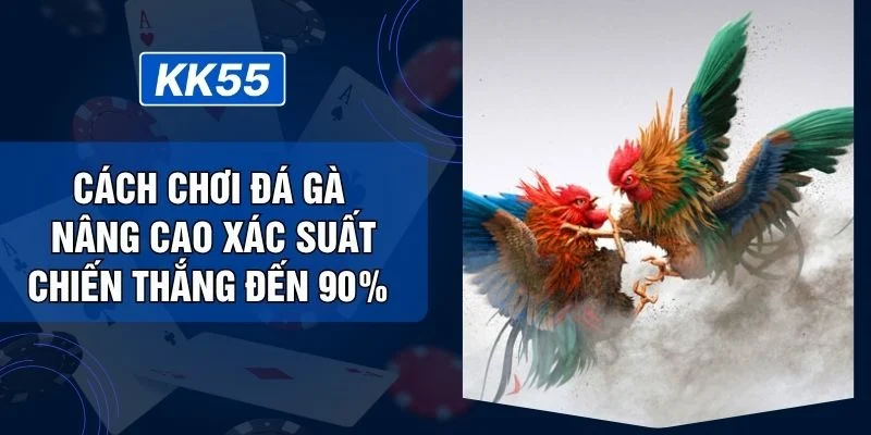 Cách Chơi Đá Gà Nâng Cao Xác Suất Chiến Thắng Đến 90%