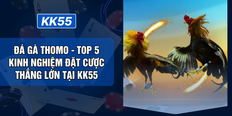 Đá Gà Thomo - Top 5 Kinh Nghiệm Đặt Cược Thắng Lớn Tại KK55