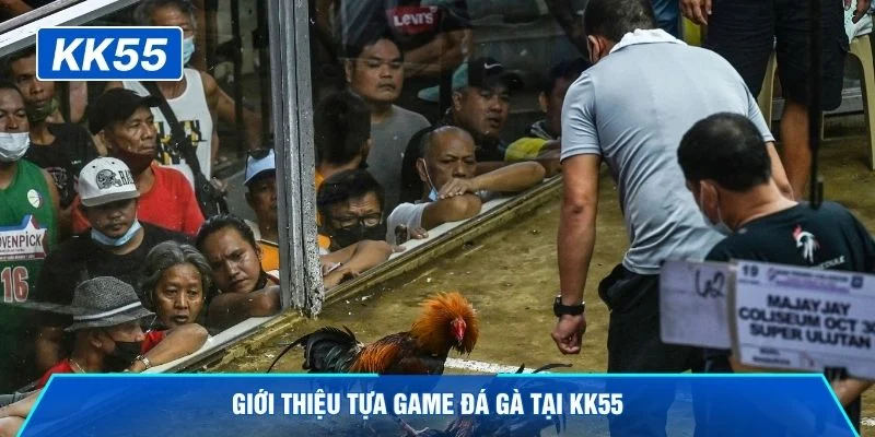 Giới thiệu tựa game đá gà tại KK55