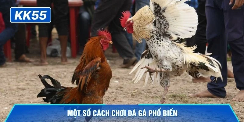 Một số cách chơi đá gà phổ biến